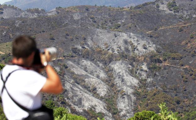 Más de 200 efectivos terrestres trabajan este sábado para controlar el incendio de Sierra Bermeja