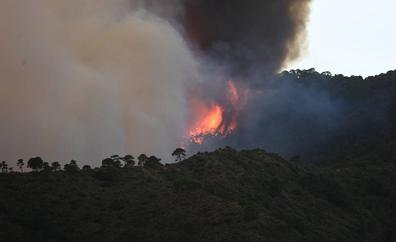 El fiscal cree que el incendio de Sierra Bermeja se originó por «imprudencia» en unos trabajos con maquinaria pesada
