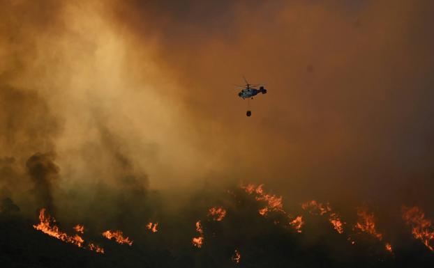 Tres detenidos por el incendio en Sierra Bermeja, que se originó de forma accidental