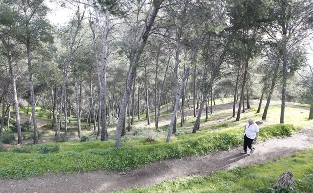 Primeros tres millones de euros para abrir Gibralfaro a Málaga