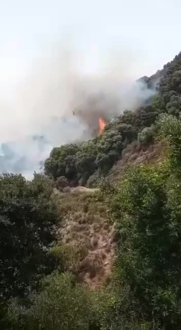 Nuevo incendio forestal en un paraje de Algatocín