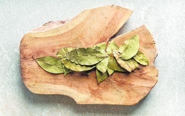 Laurel, la especia divina del Mediterráneo