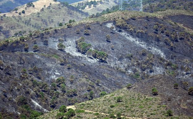 Continúan las tareas de vigilancia, remate y liquidación del incendio de Pujerra