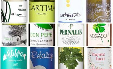 Doce vinos blancos malagueños por menos de diez euros