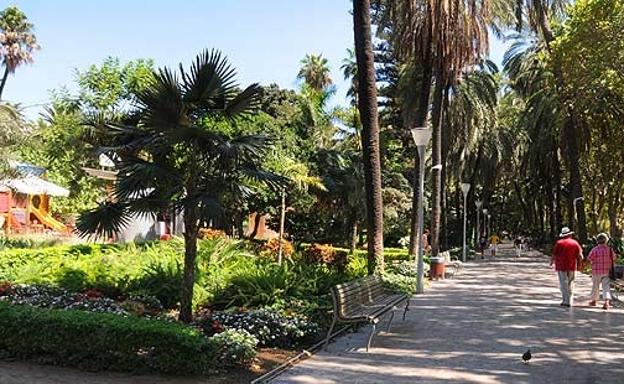 Arrestan a un exhibicionista en el Paseo del Parque de Málaga