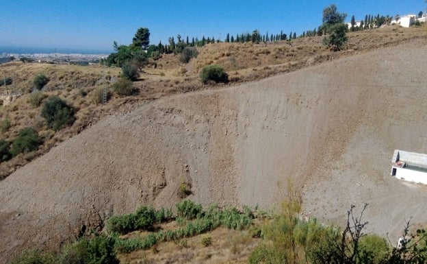 Ecologistas denuncian desmontes para plantaciones de subtropicales en plena sequía en Vélez-Málaga