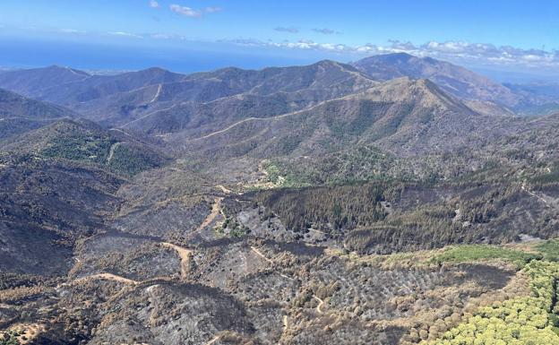 El Consejo de Ministros declara el área afectada por el incendio de Pujerra zona catastrófica