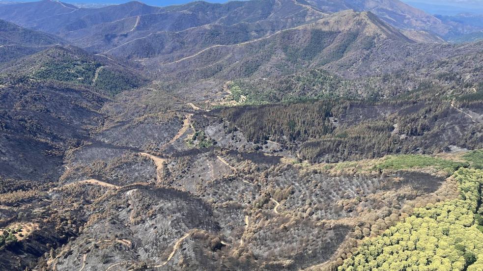 Los efectos del incendio de Sierra Bermeja, a vista de pájaro