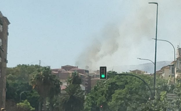 Extinguido el incendio registrado en un cañaveral de La Corta