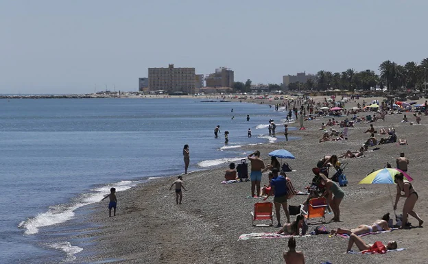 La Cátedra de Ciencias del Litoral 'bendice' el agua y la arena de las playas: «Son excelentes»