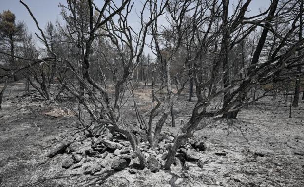 La ola de calor alumbra el año con más monte calcinado del último decenio