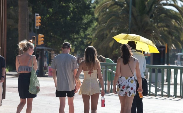 La calima y las altas temperaturas vuelven a amenazar a Málaga