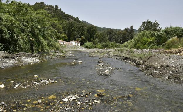 Denuncian que medio kilómetro de un tramo protegido del río Genal «ha sido destruido»