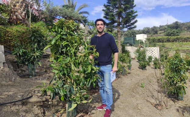 Una empresa de Torrox desarrolla un sistema de riego subterráneo que ahorra hasta un 70% de agua