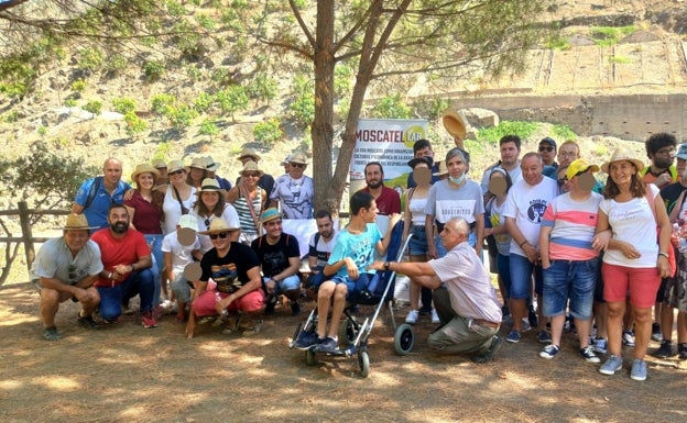 La uva moscatel y la arquitectura popular, oportunidades para el emprendimiento en el interior de la Axarquía