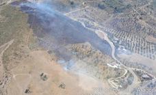 Estabilizado el incendio forestal declarado este lunes en Ardales