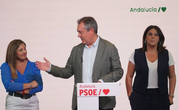 El PSOE tendrá una dirección colegiada en el Parlamento y mantendrá a Ángeles Férriz como portavoz