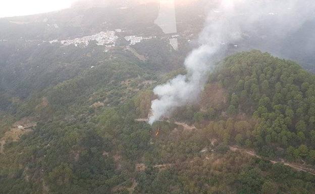 Extinguido el incendio forestal declarado en Algatocín