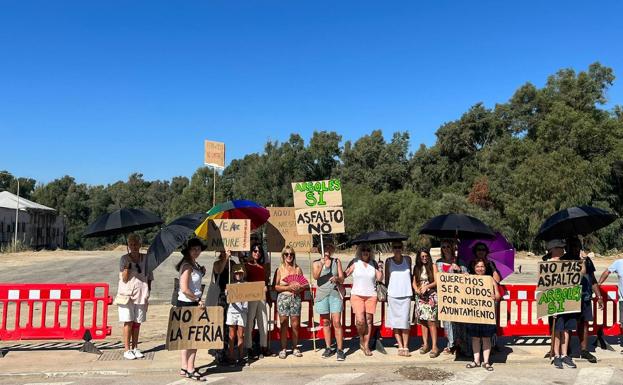 Vecinos de Casares denuncian la tala de eucaliptos en la zona de playa