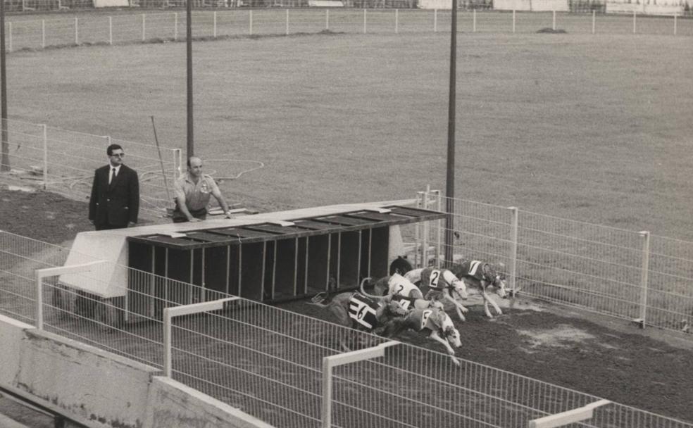 Carreras de galgos, así se vivieron en Málaga