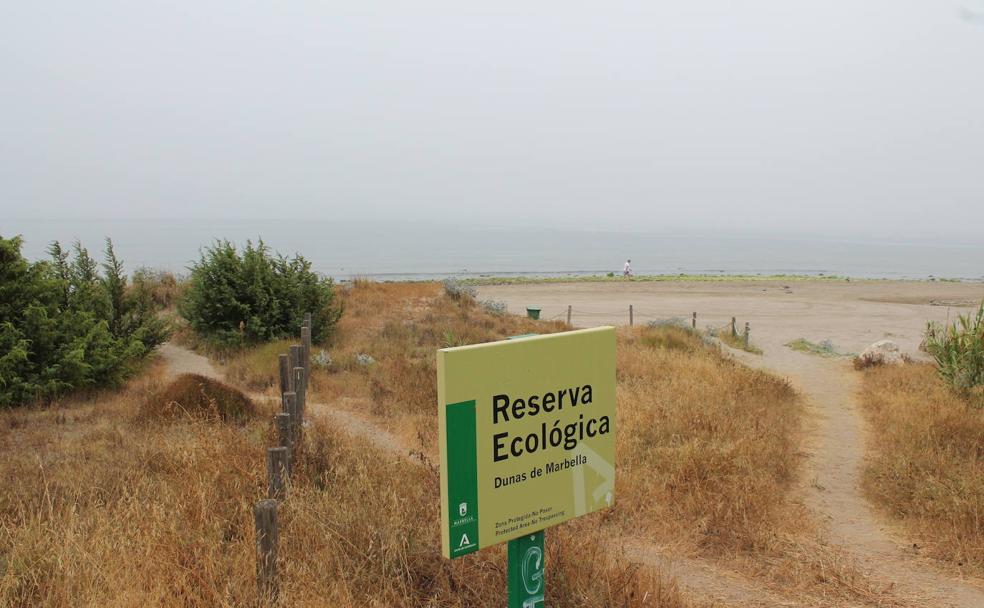 Dunas de Málaga: Joyas geológicas entre Manilva y Torrox