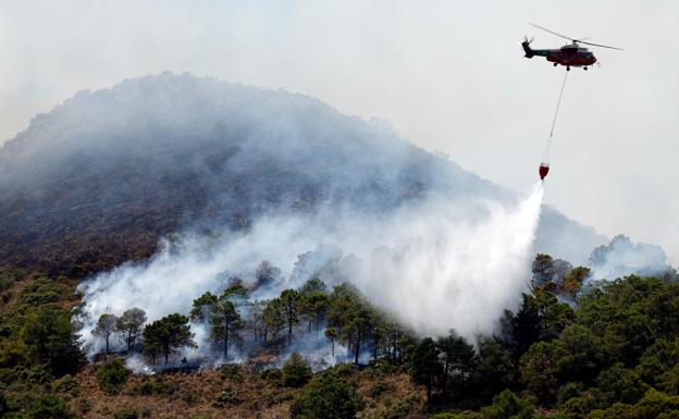 La Junta asegura que los indicios apuntan a que el incendio de Alhaurín el Grande fue «intencionado»