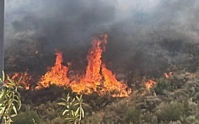 Extinguido el incendio declarado en un paraje de Cortes de la Frontera el sábado