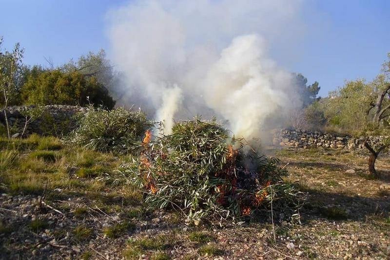 La Policía Local de Mijas sanciona a un particular por la quema de rastrojos sin autorización