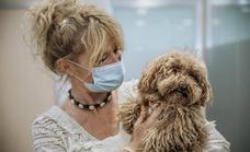 Hospital Veterinario SOS Animal: atendiendo a tu mascota 24 horas todo el año