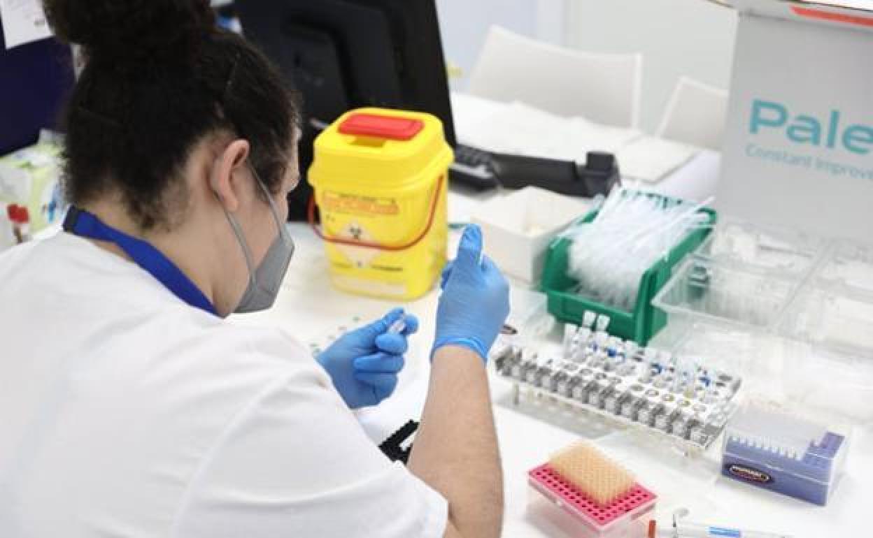 Andalucía, con 356 casos activos, suma ya 86 vacunados contra la viruela del mono