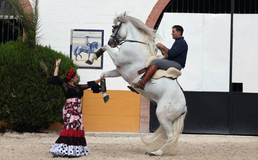 Sevillanas con aires ecuestres