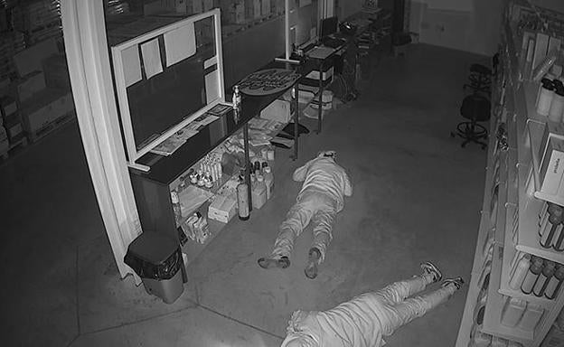 Dos detenidos acusados de 23 robos en negocios agrícolas de Málaga, Almería, Granada y Alicante