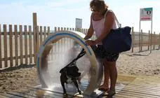 Ocho playas de Málaga para llevar al perro este verano