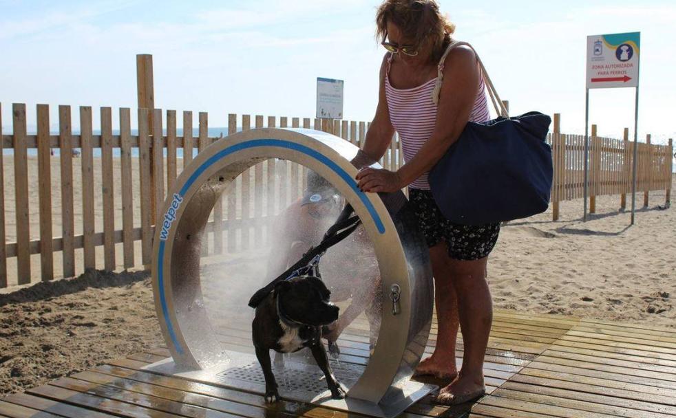 Ocho playas de Málaga para llevar al perro este verano