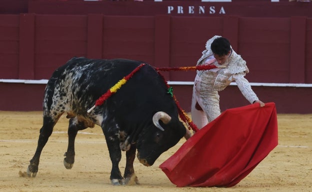 La garra de Lavado y un buen novillo destacan en Málaga