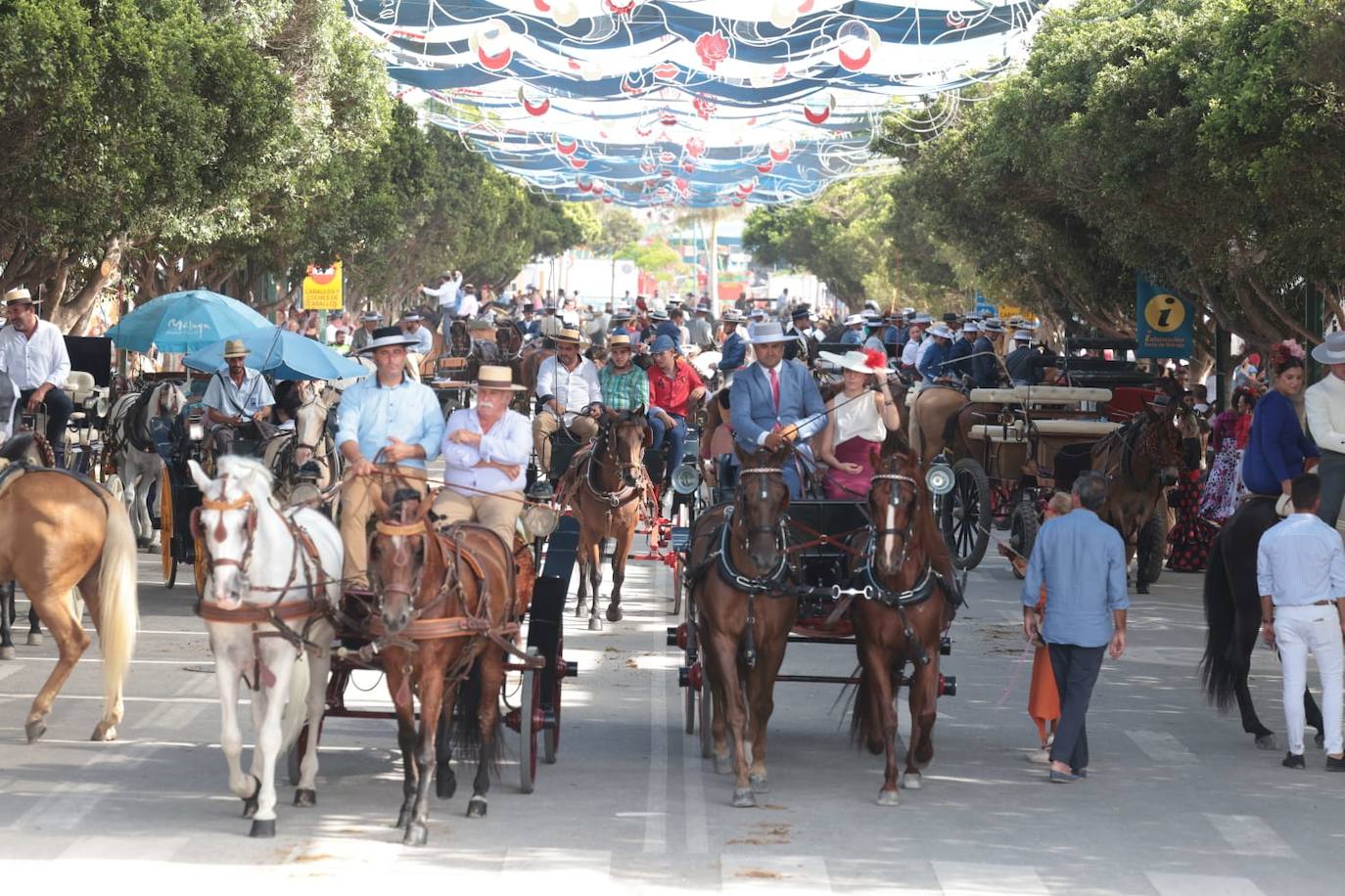 Mayores y familias, protagonistas del segundo mediodía en el Cortijo de Torres marcado por el bochorno