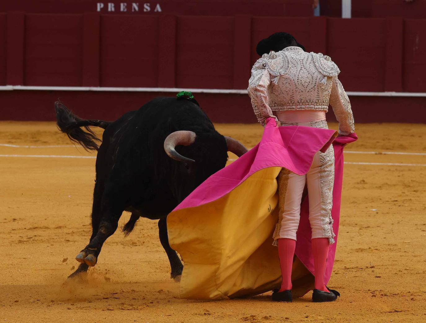 La garra de Lavado y un buen novillo destacan en Málaga en la apertura de la feria