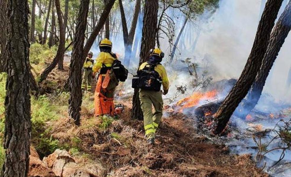 El aviso del Infoca sobre la «situación complicada» de posibles incendios en Malaga