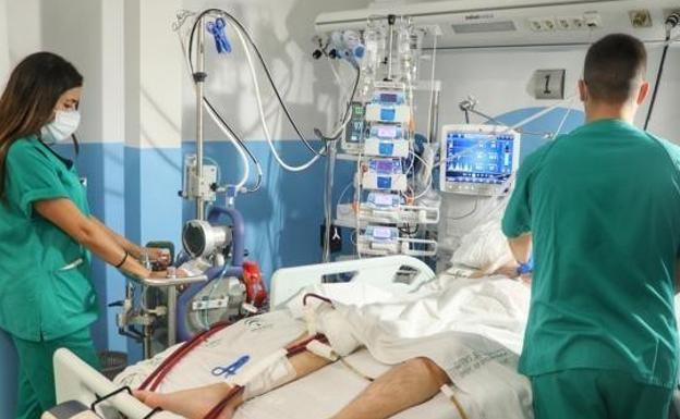 Andalucía suma 622 casos y 36 muertes por covid