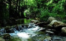 Arriate recuperará uno de los senderos fluviales de mayor valor paisajístico y natural de la provincia