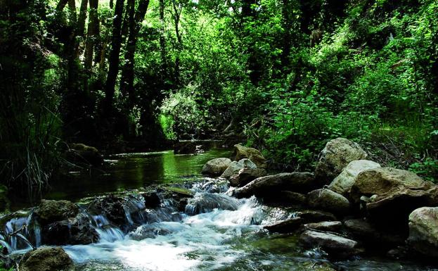 Arriate recuperará uno de los senderos fluviales de mayor valor paisajístico y natural de la provincia