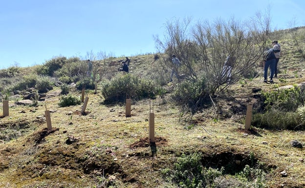 La Diputación de Málaga busca revitalizar los terrenos en desuso que son propiedad de los ayuntamientos