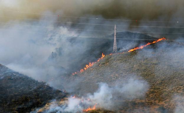 El Gobierno declara zona catastrófica las áreas afectadas por los dos incendios de Mijas del pasado julio