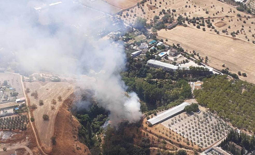 Extinguido el incendio forestal declarado en Arriate