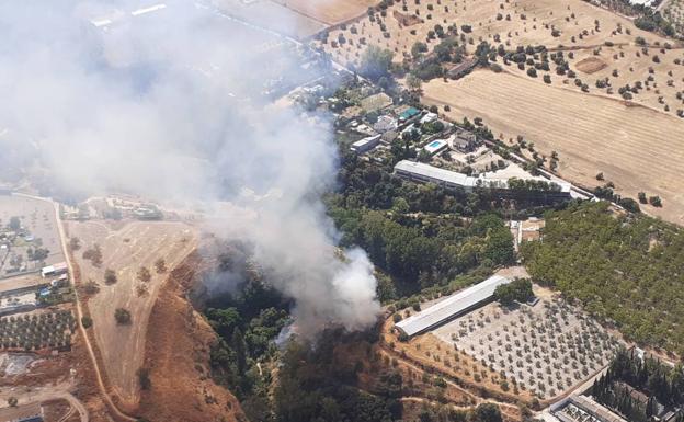 Extinguido el incendio forestal declarado en Arriate