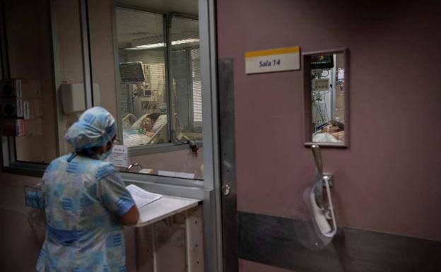 La OMS espera un aumento de hospitalizaciones y muertes por coronavirus en los próximos meses por el invierno