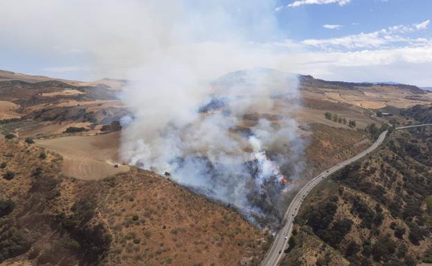 Extinguidos los tres incendios declarados este sábado en Málaga