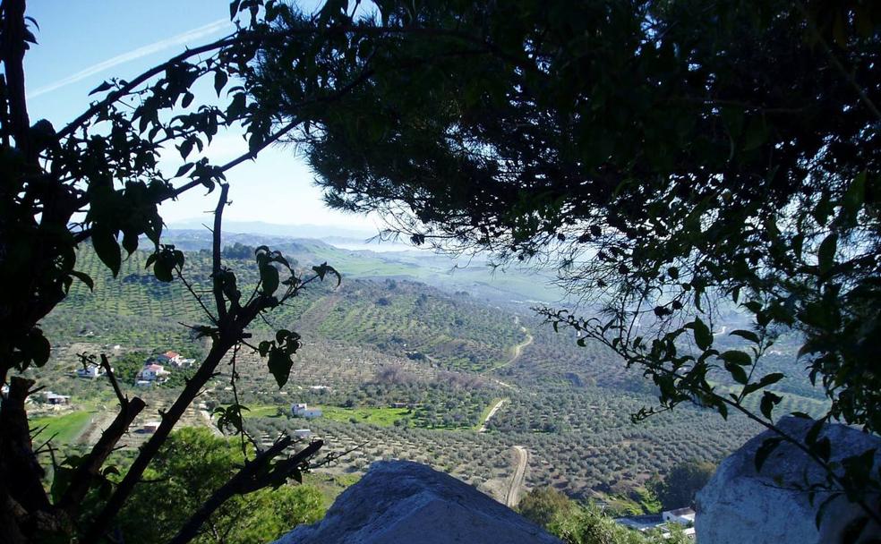 El pueblo que se vuelca con la aloreña de Málaga