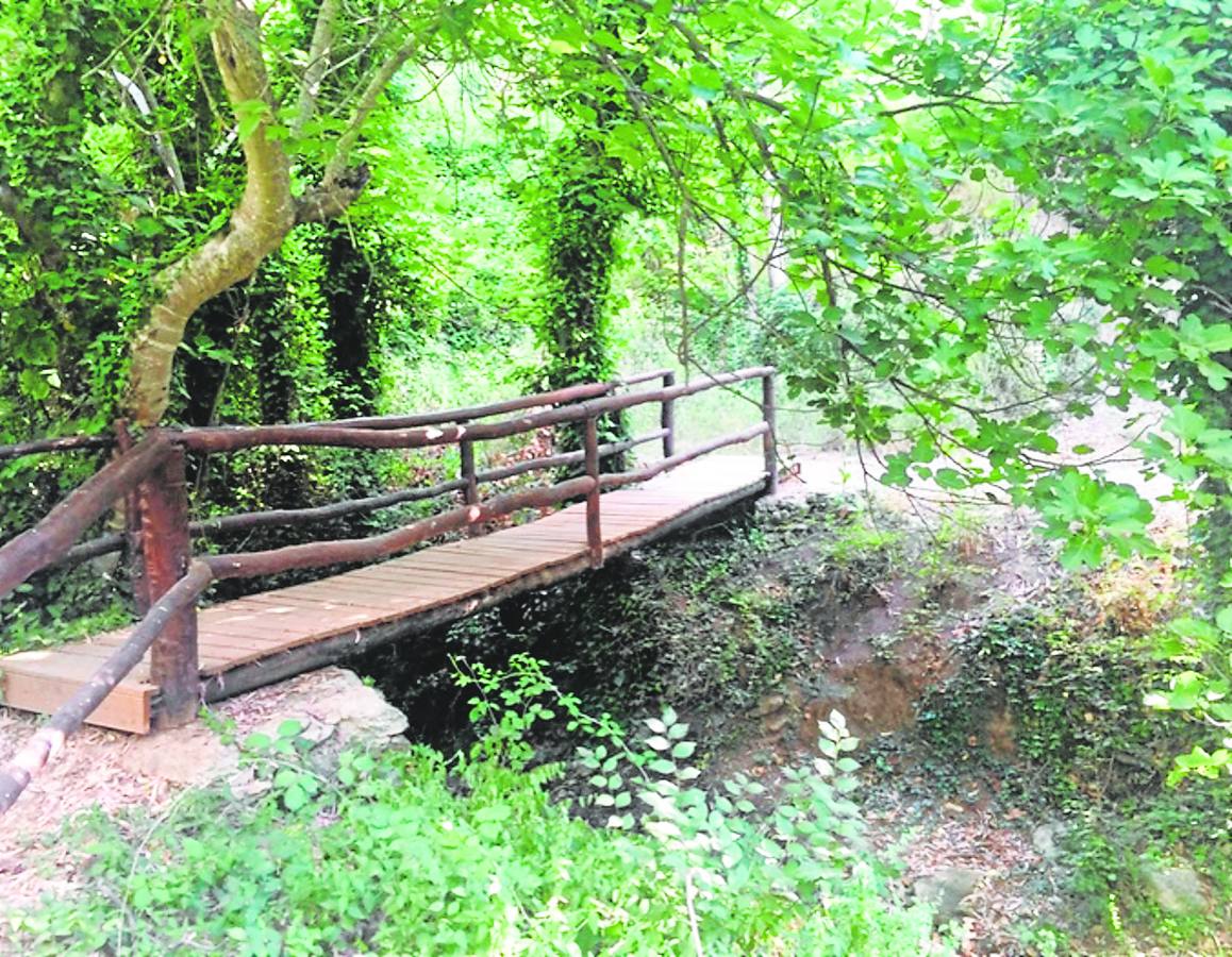 El insólito vergel que aguarda en la puerta de la Serranía