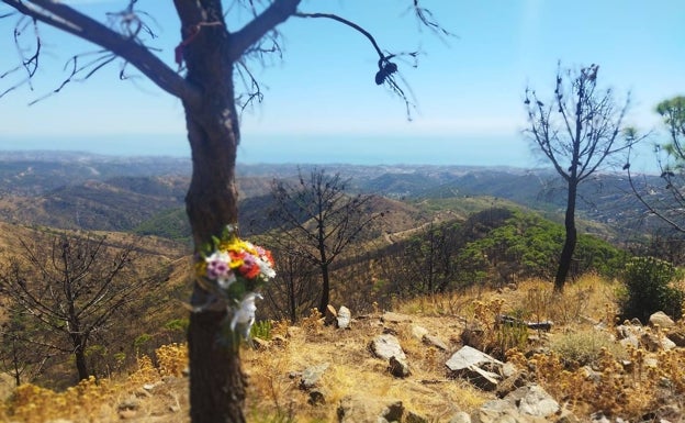 El Infoca homenajea al bombero forestal Carlos Martínez Haro, fallecido en el incendio de Sierra Bermeja